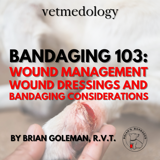 A vetmedology Live Webinar Ticket for 6/13/24: Bandaging 103: Wound Management, Wound Dressings and Bandaging Considerations with Brian Goleman, R.V.T. of vetmedology and Brian’s Bandages