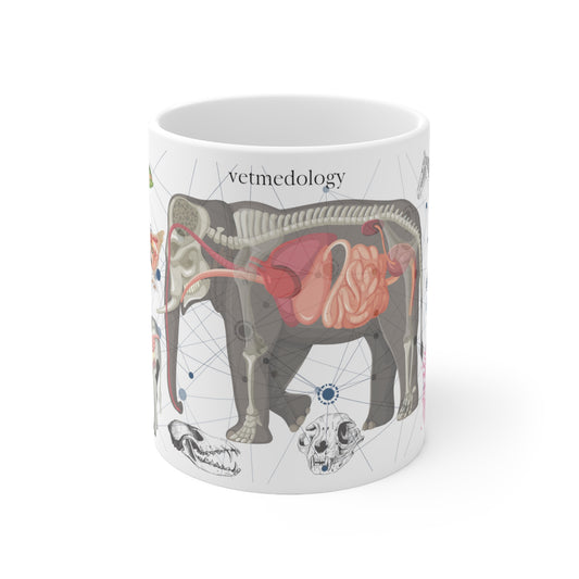vetmedology Anatomical Animal Ceramic Mug 11oz