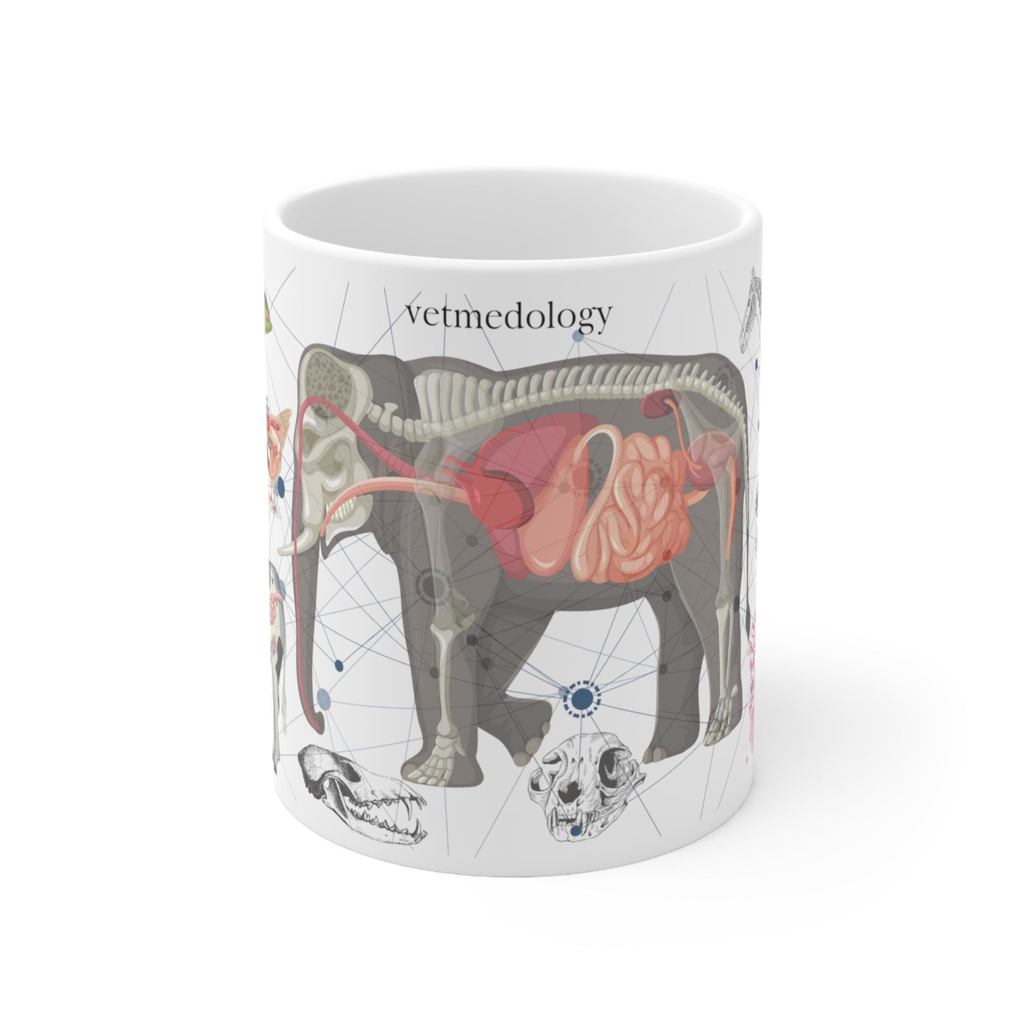 vetmedology Anatomical Animal Ceramic Mug 11oz