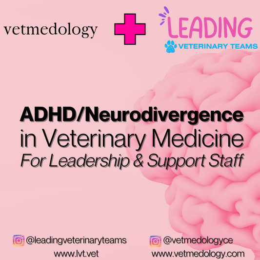 Leading Veterinary Teams and vetmedology: ADHD/Neurodivergence in Veterinary Medicine