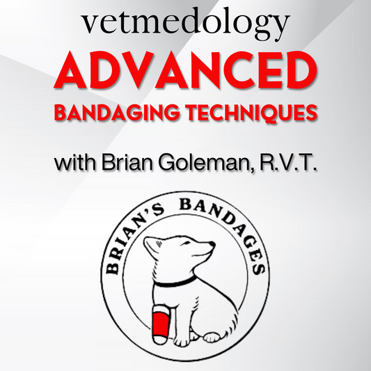 Bandaging 102: Advanced Bandaging Techniques by Brian Goleman, RVT of Brian's Bandages