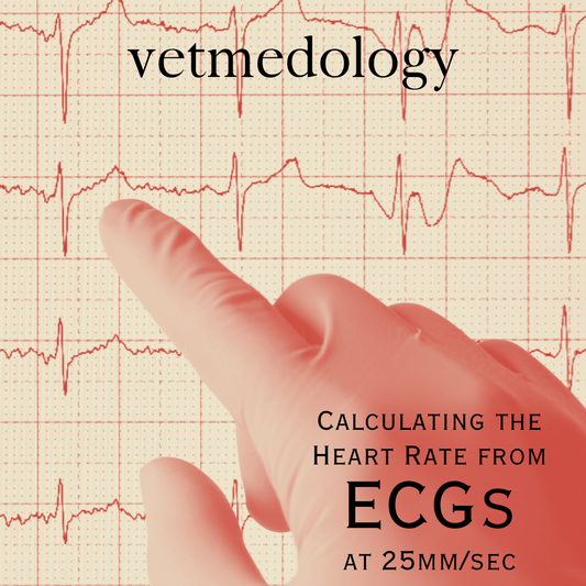 Calculating the Heart Rate from ECGs at 25mm/sec by Kristin Lake, B.Sc.