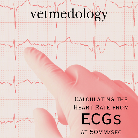 Calculating the Heart Rate from ECGs at 50mm/sec by Kristin Lake, B.Sc.